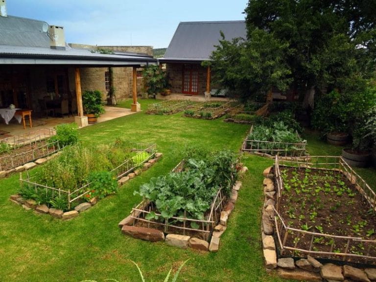 LIFE IS AN EDIBLE GARDEN