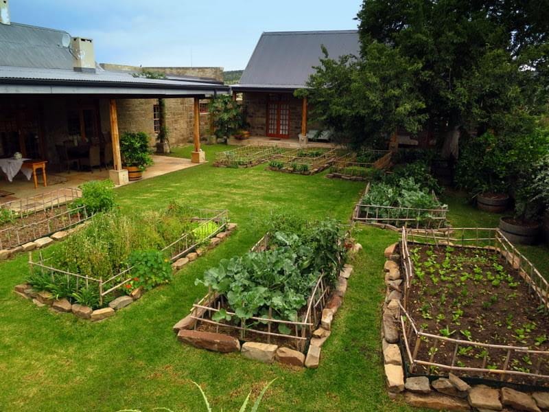 LIFE IS AN EDIBLE GARDEN