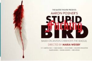 Stupid Fucking Bird, Baxter Theatre, Cape Town